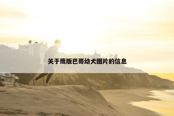关于鹰版巴哥幼犬图片的信息
