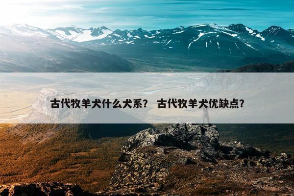 古代牧羊犬什么犬系？ 古代牧羊犬优缺点？