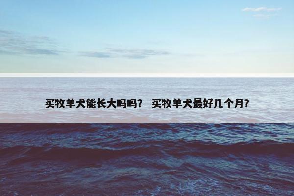 买牧羊犬能长大吗吗？ 买牧羊犬最好几个月？