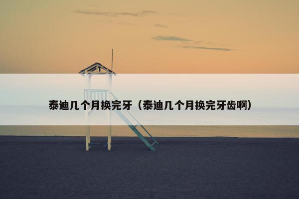 泰迪几个月换完牙（泰迪几个月换完牙齿啊）
