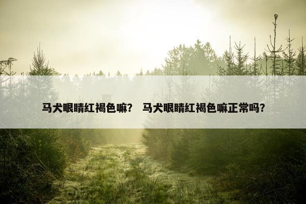 马犬眼睛红褐色嘛？ 马犬眼睛红褐色嘛正常吗？
