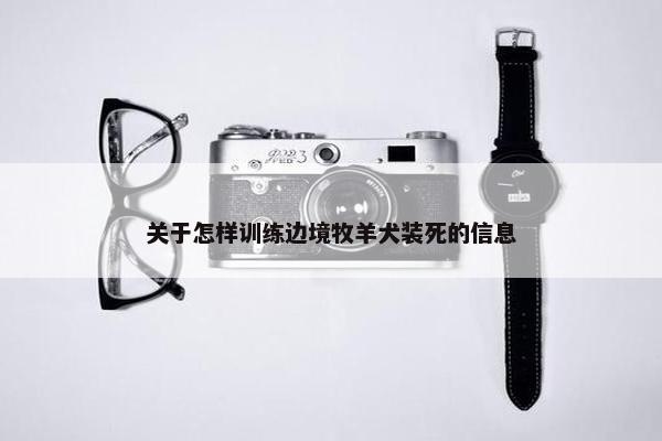 聪明 第3页