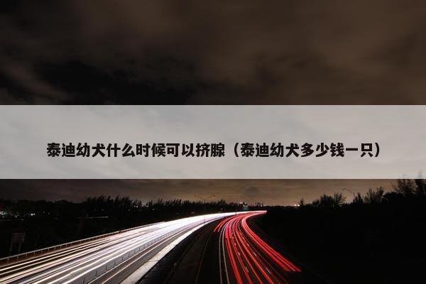 泰迪幼犬什么时候可以挤腺（泰迪幼犬多少钱一只）