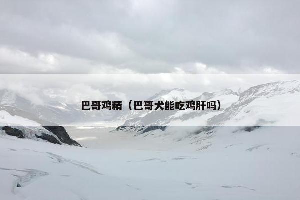 备用