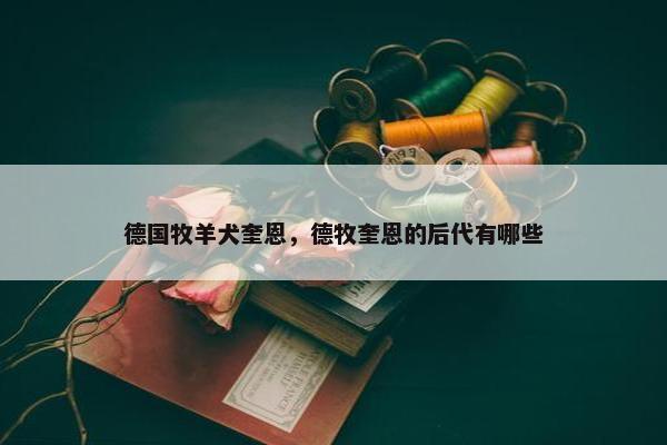 德国牧羊犬奎恩，德牧奎恩的后代有哪些