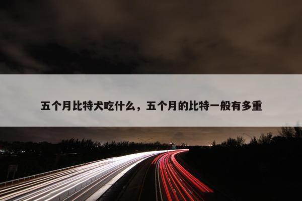 五个月比特犬吃什么，五个月的比特一般有多重