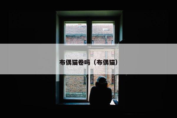 布偶猫卷吗（布偶猫）