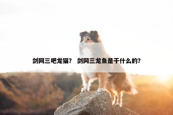 剑网三吧龙猫？ 剑网三龙鱼是干什么的？