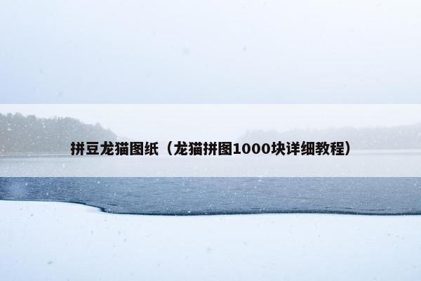 拼豆龙猫图纸（龙猫拼图1000块详细教程）