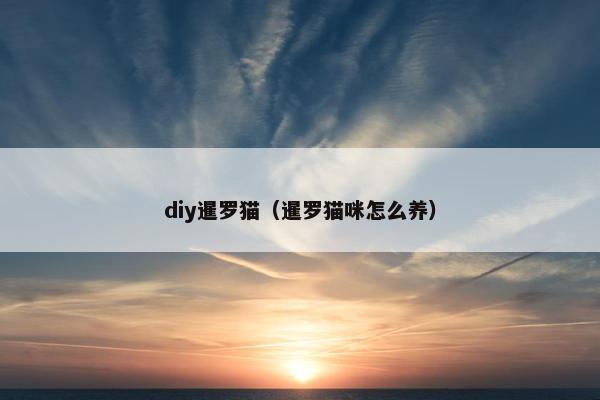 diy暹罗猫（暹罗猫咪怎么养）