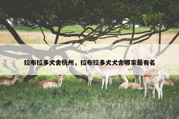 拉布拉多犬舍杭州，拉布拉多犬犬舍哪家最有名