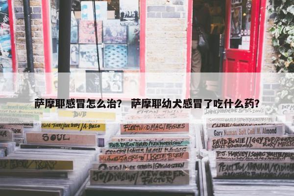 萨摩耶感冒怎么治？ 萨摩耶幼犬感冒了吃什么药？