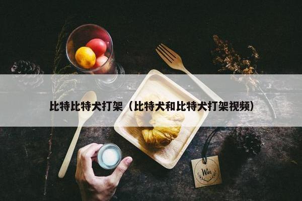 比特比特犬打架（比特犬和比特犬打架视频）