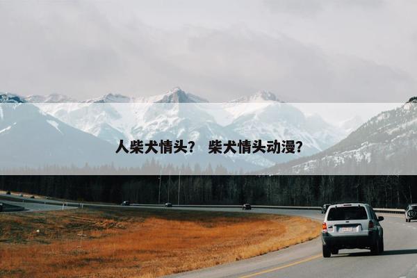 人柴犬情头？ 柴犬情头动漫？