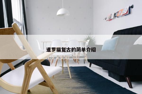 猫咪 第30页