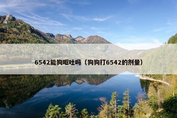 6542能狗呕吐吗（狗狗打6542的剂量）