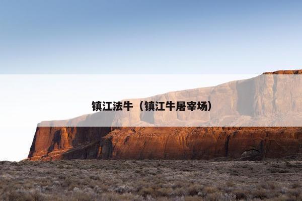 法牛 第24页
