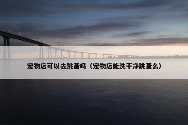 宠物店可以去跳蚤吗（宠物店能洗干净跳蚤么）