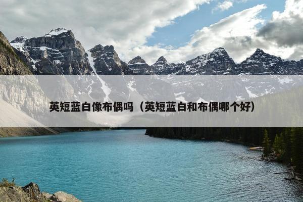英短蓝白像布偶吗（英短蓝白和布偶哪个好）