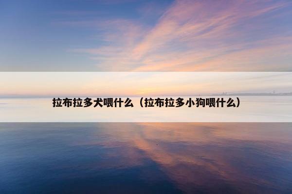 拉布拉多犬喂什么（拉布拉多小狗喂什么）