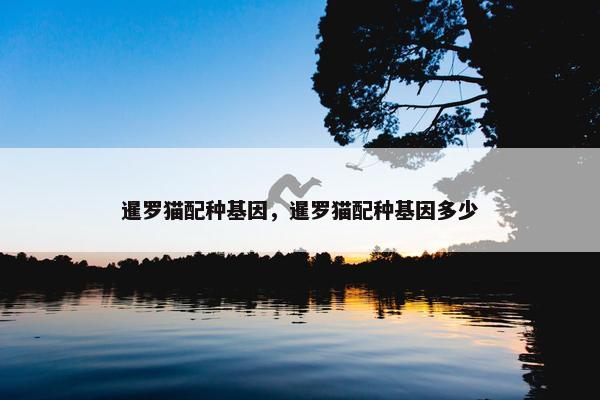 暹罗猫配种基因，暹罗猫配种基因多少