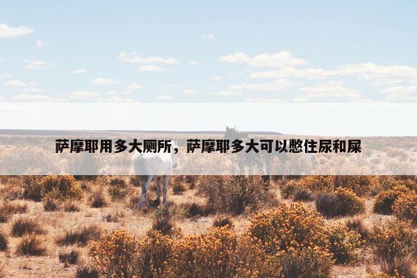 萨摩耶用多大厕所，萨摩耶多大可以憋住尿和屎