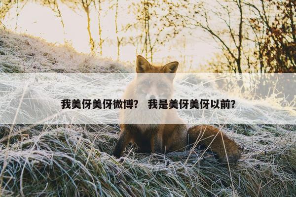 我美伢美伢微博？ 我是美伢美伢以前？
