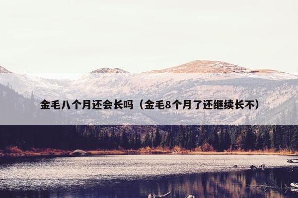 金毛八个月还会长吗（金毛8个月了还继续长不）
