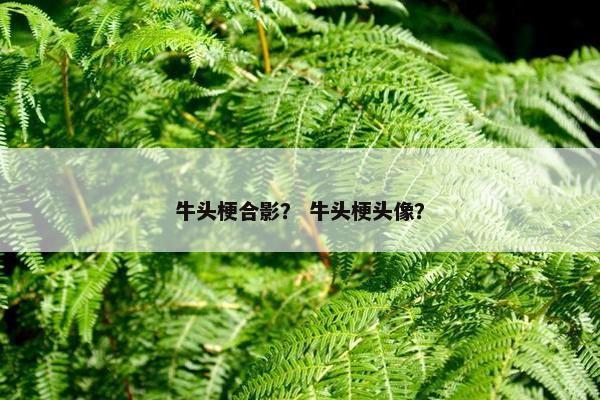 牛头梗合影？ 牛头梗头像？