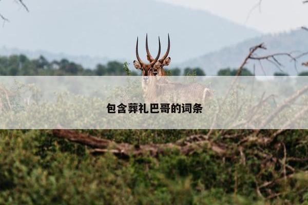 包含葬礼巴哥的词条