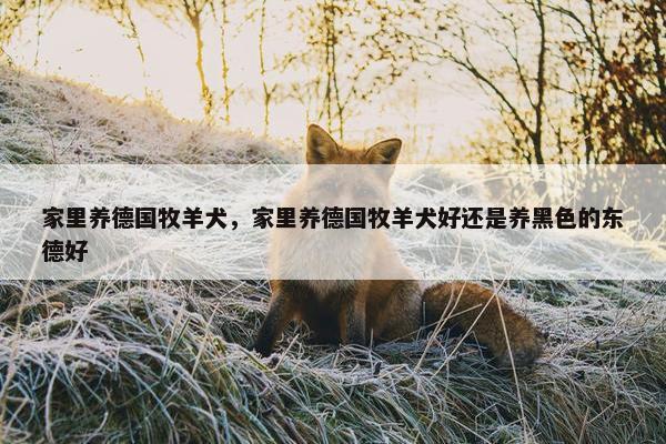 家里养德国牧羊犬，家里养德国牧羊犬好还是养黑色的东德好