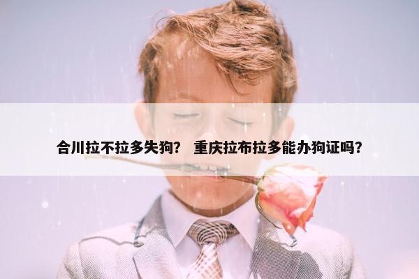 合川拉不拉多失狗？ 重庆拉布拉多能办狗证吗？