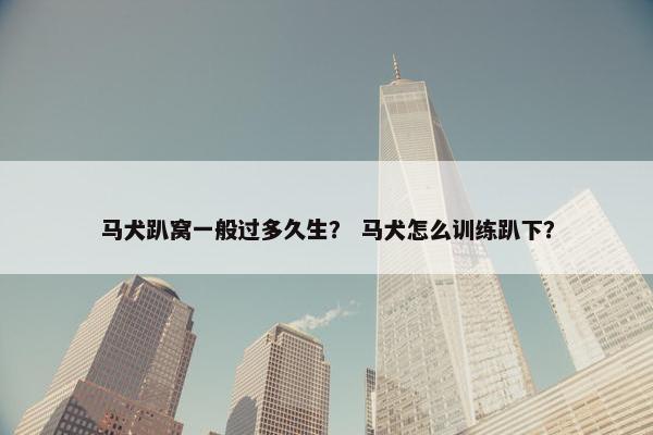 马犬趴窝一般过多久生？ 马犬怎么训练趴下？