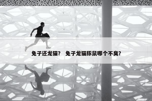 兔子还龙猫？ 兔子龙猫豚鼠哪个不臭？