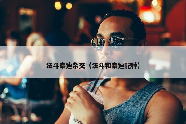 法斗泰迪杂交（法斗和泰迪配种）