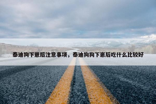 泰迪狗下崽后注意事项，泰迪狗狗下崽后吃什么比较好