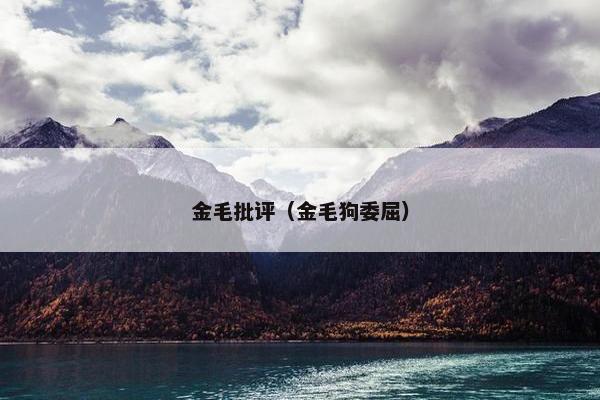 金毛批评（金毛狗委屈）