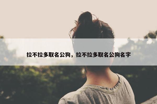 拉不拉多取名公狗，拉不拉多取名公狗名字