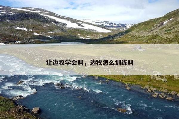 让边牧学会叫，边牧怎么训练叫