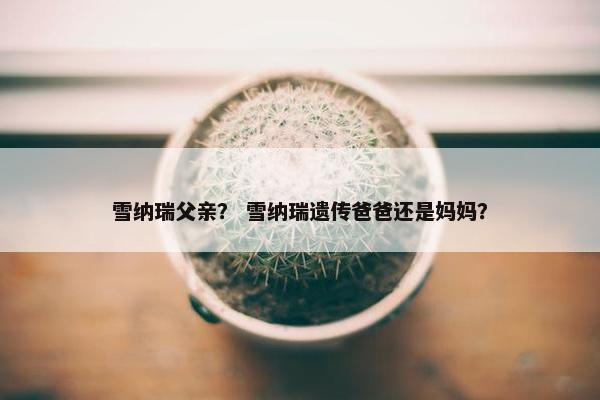 雪纳瑞父亲？ 雪纳瑞遗传爸爸还是妈妈？