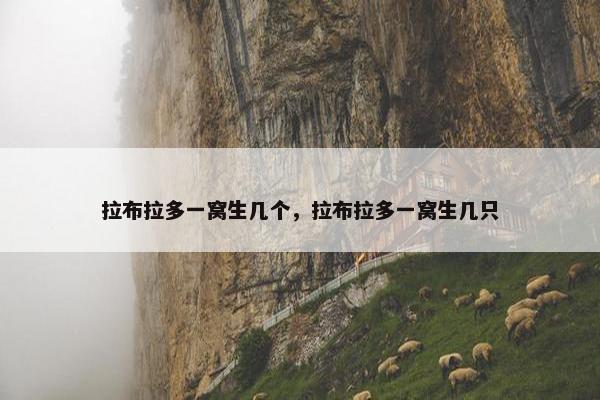 情况