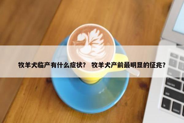 牧羊犬临产有什么症状？ 牧羊犬产前最明显的征兆？