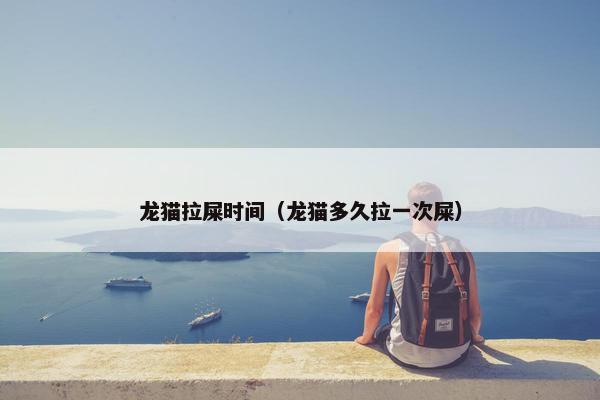 龙猫拉屎时间（龙猫多久拉一次屎）