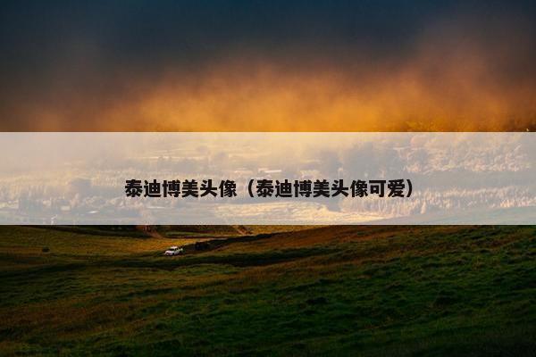泰迪博美头像（泰迪博美头像可爱）