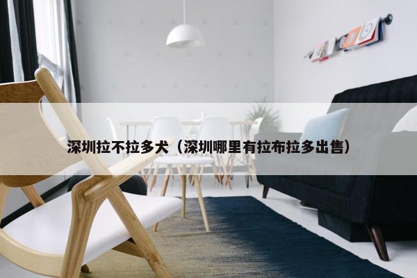 深圳拉不拉多犬（深圳哪里有拉布拉多出售）