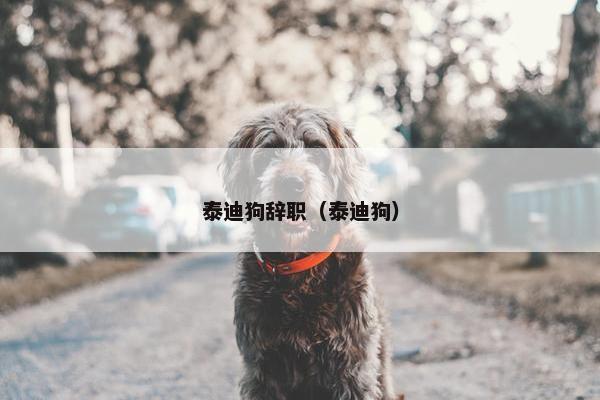 封信