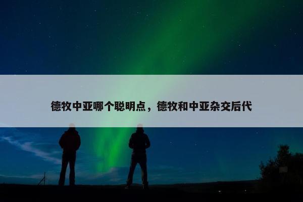 德牧中亚哪个聪明点，德牧和中亚杂交后代