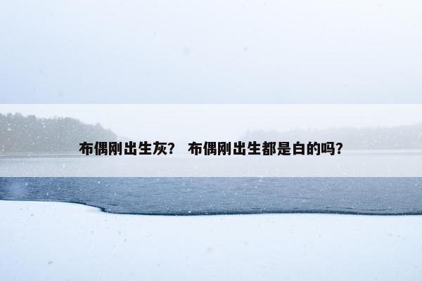 布偶刚出生灰？ 布偶刚出生都是白的吗？