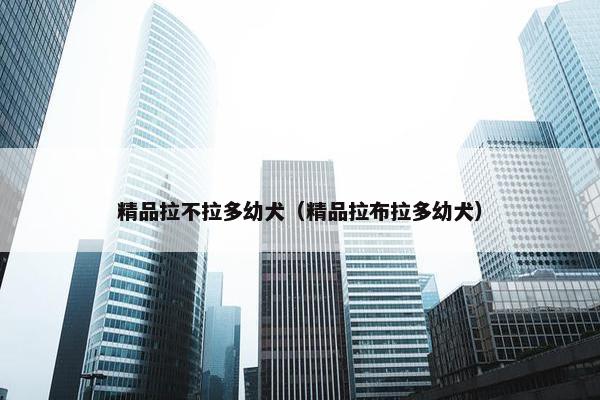 精品拉不拉多幼犬（精品拉布拉多幼犬）