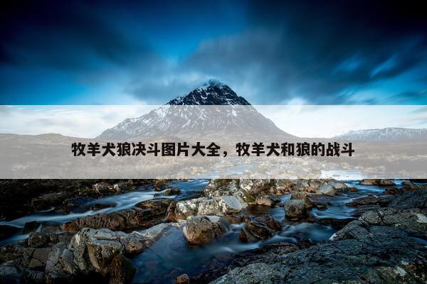东德 第2页
